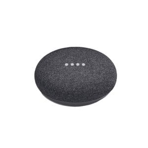 Google Mini voice